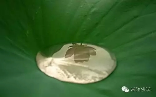 ������֪���_ȴ����������