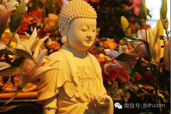 佛前供一朵花,弥勒菩萨都说不尽他的福德 佛前供一朵花,弥勒菩萨都说不尽他的福德