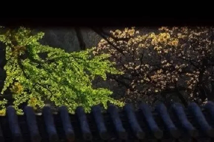 �������й�����