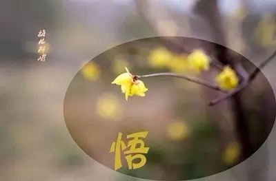 禅是顿悟渐修 禅是顿悟渐修