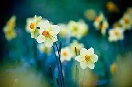 �����²����������ڣ��������ĵ���ͷ������