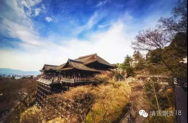 【往生论注】不要再流浪了!太辛苦了! 【往生论注】不要再流浪了!太辛苦了!