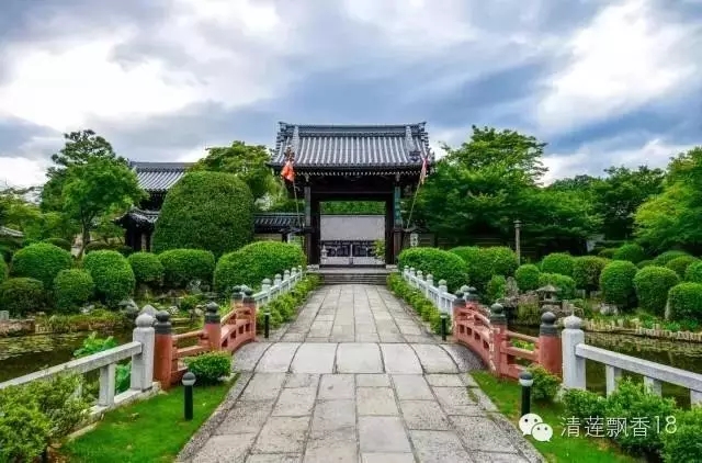 【往生论注】不要再流浪了!太辛苦了! 【往生论注】不要再流浪了!太辛苦了!