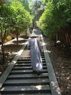 一位学佛居士的禅修心路 一位学佛居士的禅修心路