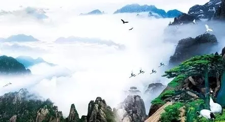 善心善意 善心善意