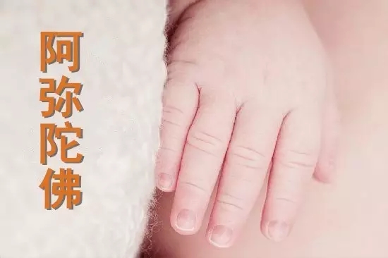 三岁女婴往生经过记实 三岁女婴往生经过记实