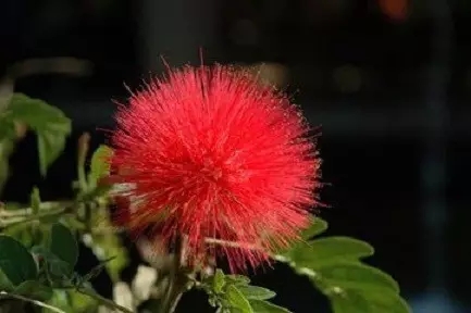 堕落多因贪心重 堕落多因贪心重