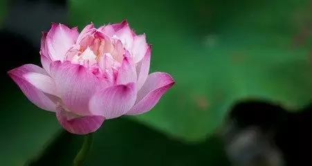 ����˵�Ϊ�˴���