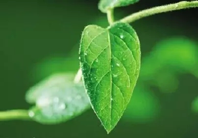 ���յ��¼�����