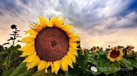 �����������ÿ���˶�������ȥ