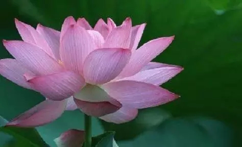 ��βŽ�����й���