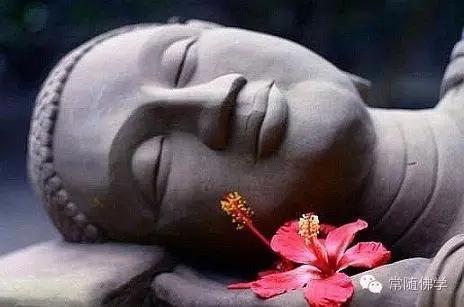 令疾病迅速康复的窍诀! 令疾病迅速康复的窍诀!