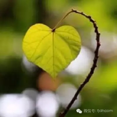 ������������_ֻ�������編