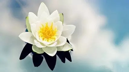 ������Ϊʲô����������