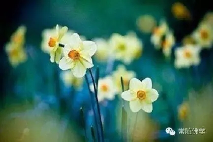 ��ʧ����������Ȼ