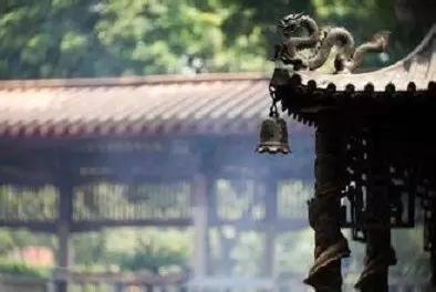 ʲô��������ѧ���ĸ�����