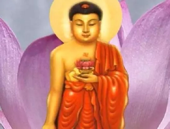 Ϊʲô����Ҫ������ӷ𡱣�