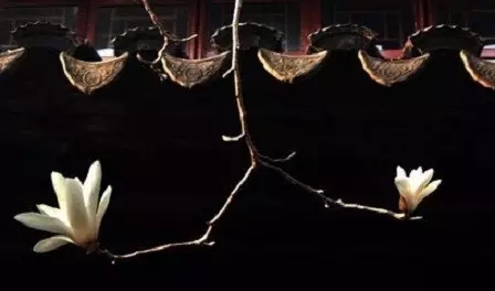 �����������ԭ��