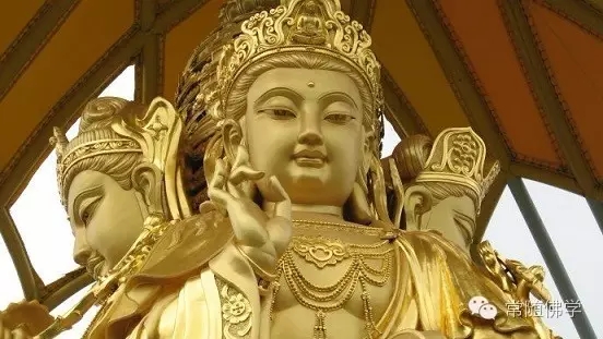 �Թ���������һ�ݸ���