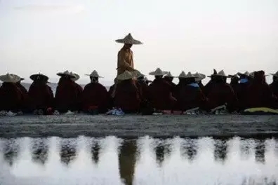 修生活禅的四个要点 修生活禅的四个要点