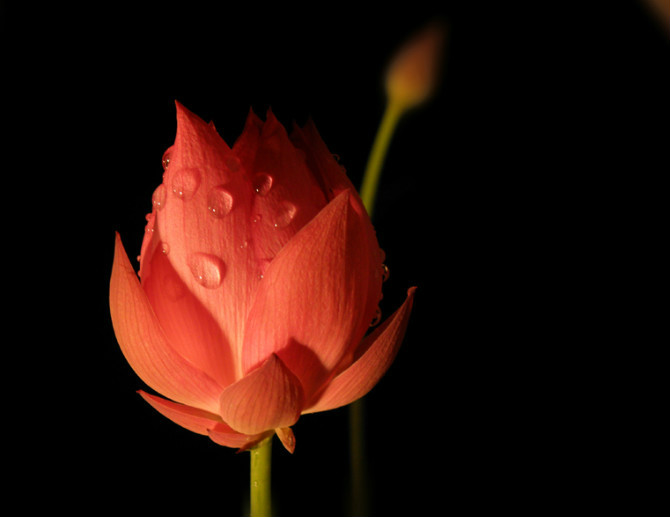 为什么我们一定要积累福报? 为什么我们一定要积累福报?