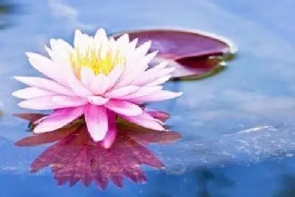 学道有三要 学道有三要