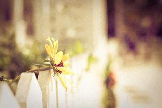 如果是别人错了,你为什么要生气? 如果是别人错了,你为什么要生气?