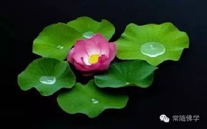 皈依的正行:亲近善知识 皈依的正行:亲近善知识