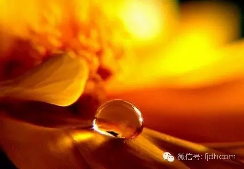 ������ɺ��Ҹ����ؾ���������͸¶��������