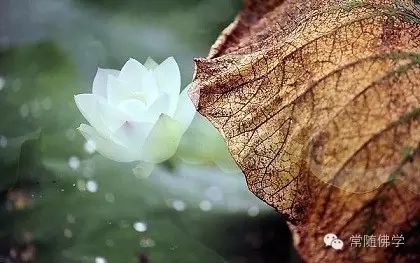 �������_��������