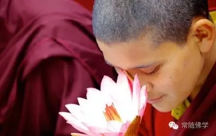 ��������ĬĬ���Ƹж�����