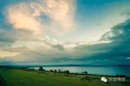 修行人没有明天——东林佛七感悟记 修行人没有明天——东林佛七感悟记