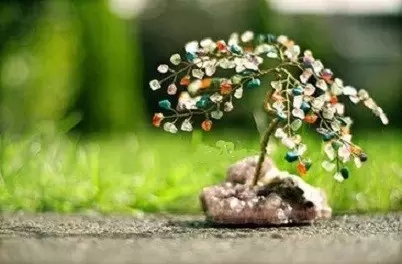 为什么发现不了美好的事物呢? 为什么发现不了美好的事物呢?