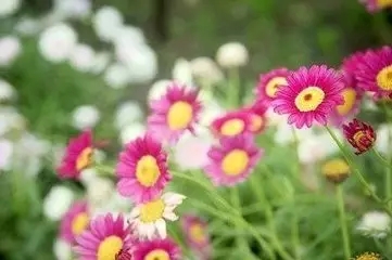 学佛非常虔诚何以多病? 学佛非常虔诚何以多病?