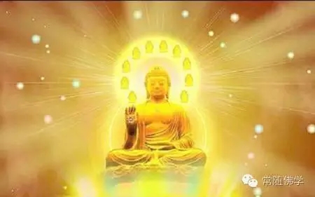 ʲô���������ġ��𡱣�_ǧ��������