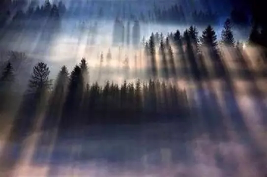 ��ǰ���Ű���������������