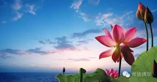 ���������_����תĩ��Ϊ����