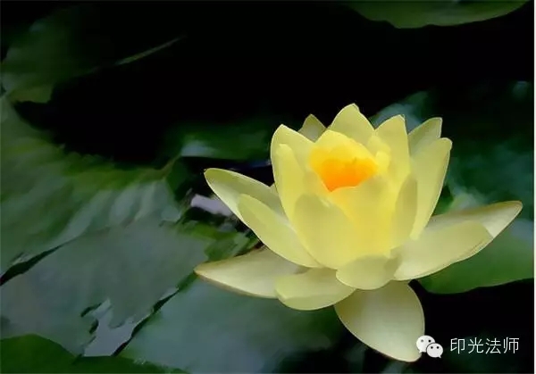 ӡ���ʦ��а���������������ȿ�����ĵ�Ȱ�루һ��