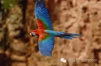 ��Ħ��ʦ�����ģ����ȳ������۱գ��������ĳ�����