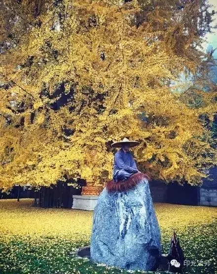 ӡ���ʦ��а���������������ȿ�����ĵ�Ȱ�루����