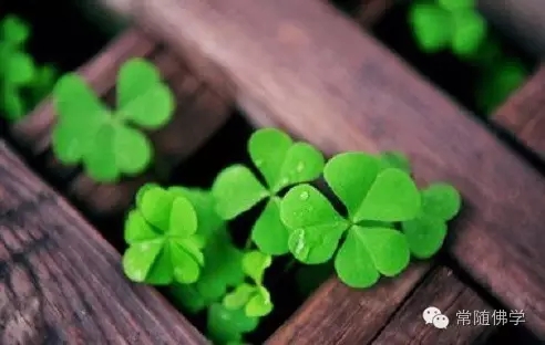 以尊重的心态经营爱情 以尊重的心态经营爱情