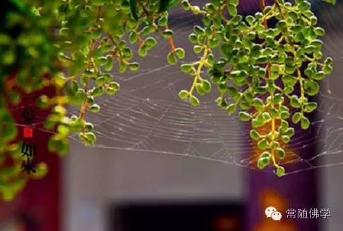 ����ǽ�����ڷ���ʲô��