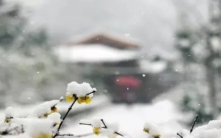 �����Խ�����µķ�����