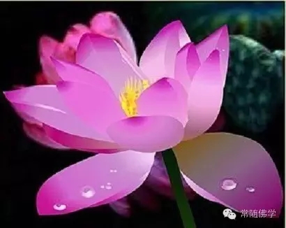 ֻ��սʤ�Լ����ܽ����ֻ�