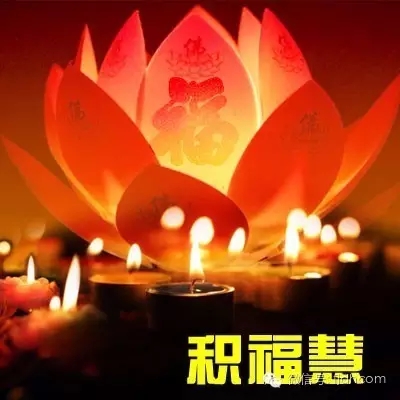 ʲô�����˲��ܹ������³�?