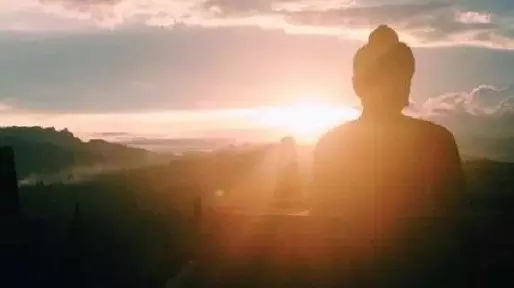 �ֽ������������