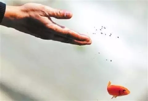 �����編�ط�����