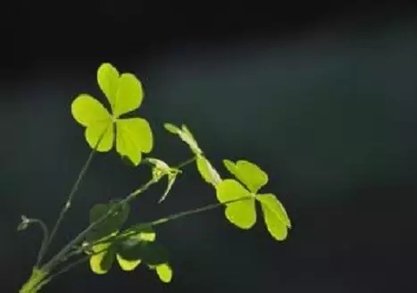 ������������