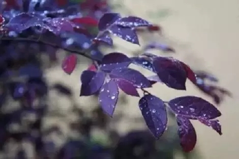 ��ο��������빦�¶���ʵ��������е����壿