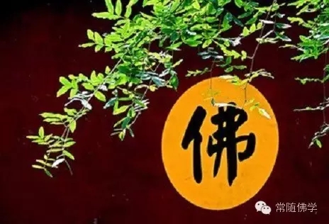 ��̲�������_�Ե��˾�����